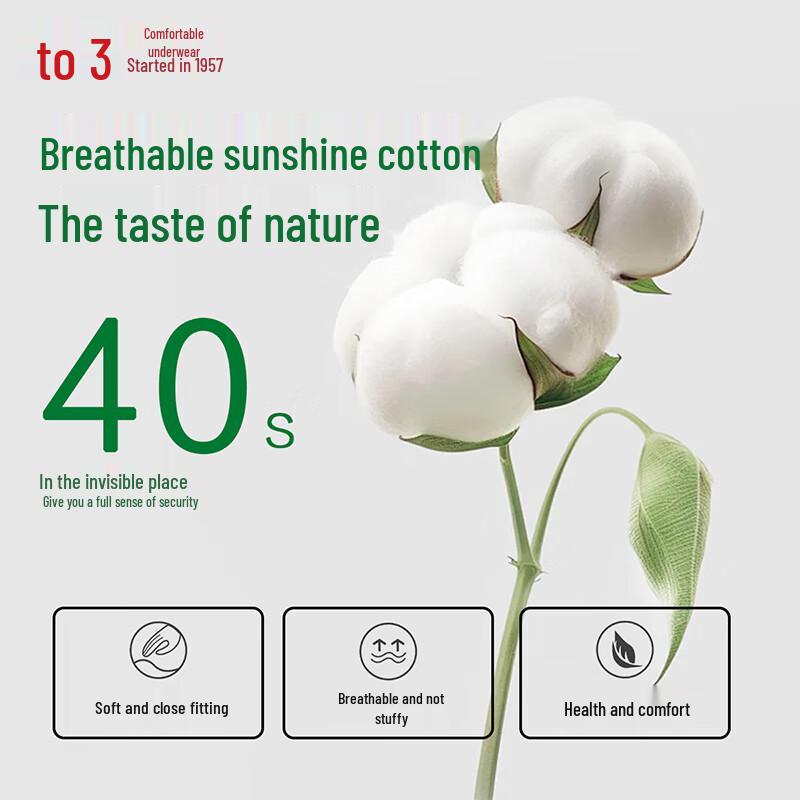 Hongdou Cloud Cotton Men's Antibacterial Boxer Briefs