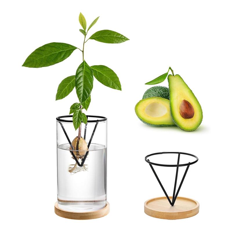 AD23-3 Pack Avocado Tree Growing Kits, Glass Avocado Seed Vase With Triangle Bracket And Bamboo Base, Sprouting Plant Pot