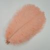 10 Pezzi Piume di Struzzo Colorate per Artigianato Piuma di Struzzo Bianca Grande Decorazione Centrotavola Carnevale Matrimonio Festa Decorazione