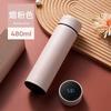 480ml 304 Stainless Steel Temperature Display Large Capacity Insulated Bottle Cute and Simple Korean Version Tea Water Cup