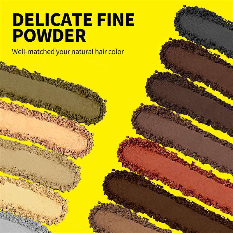 Poudre pour la ligne capillaire Correcteur Couverture Temporaire des Racines de Cheveux Contrôle des Bords de la Ligne Capillaire Couverture des Cheveux Gris Poudre Ombre pour la Ligne Capillaire Instantanément