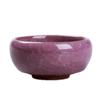 Vaso de Planta Suculenta Fofo Esmalte Craquelê Vaso de Cerâmica para Flores Decoração de Vaso de Flores