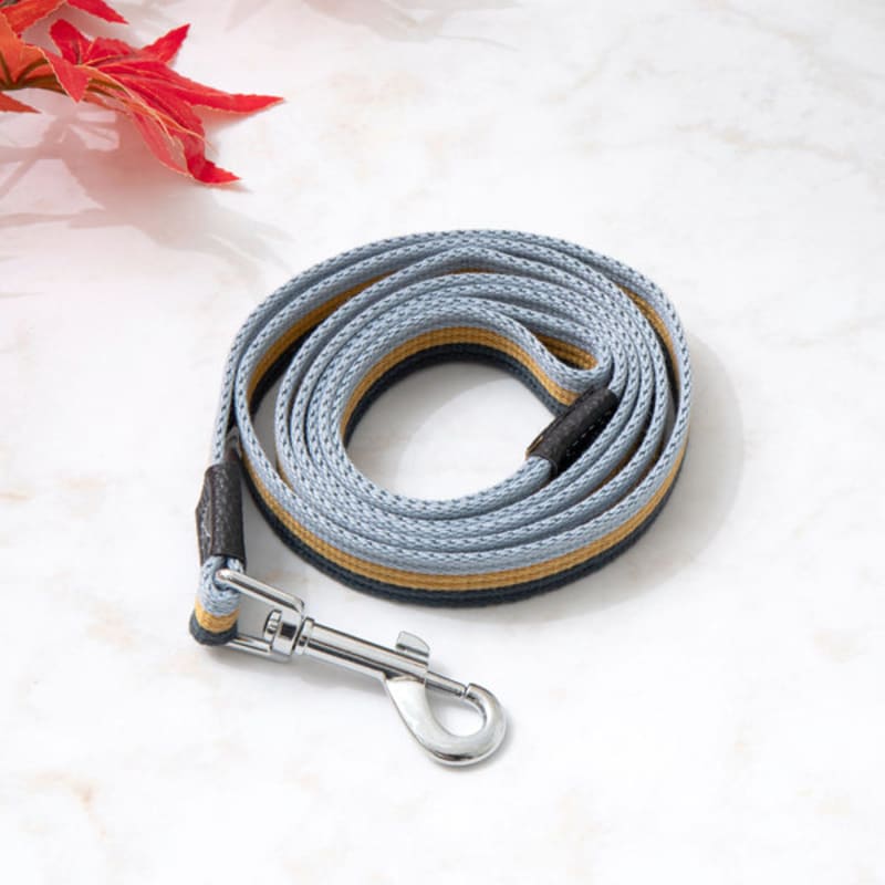 

[Pet] Three-Color Leash 2