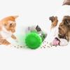 Giocattoli puzzle per cani Giocattoli interattivi a forma di tumbler per cibo per animali domestici Mangiatoia lenta Giocattolo per cuccioli Dispenser di snack e premi per cani e gatti Prodotti per l'addestramento per animali domestici