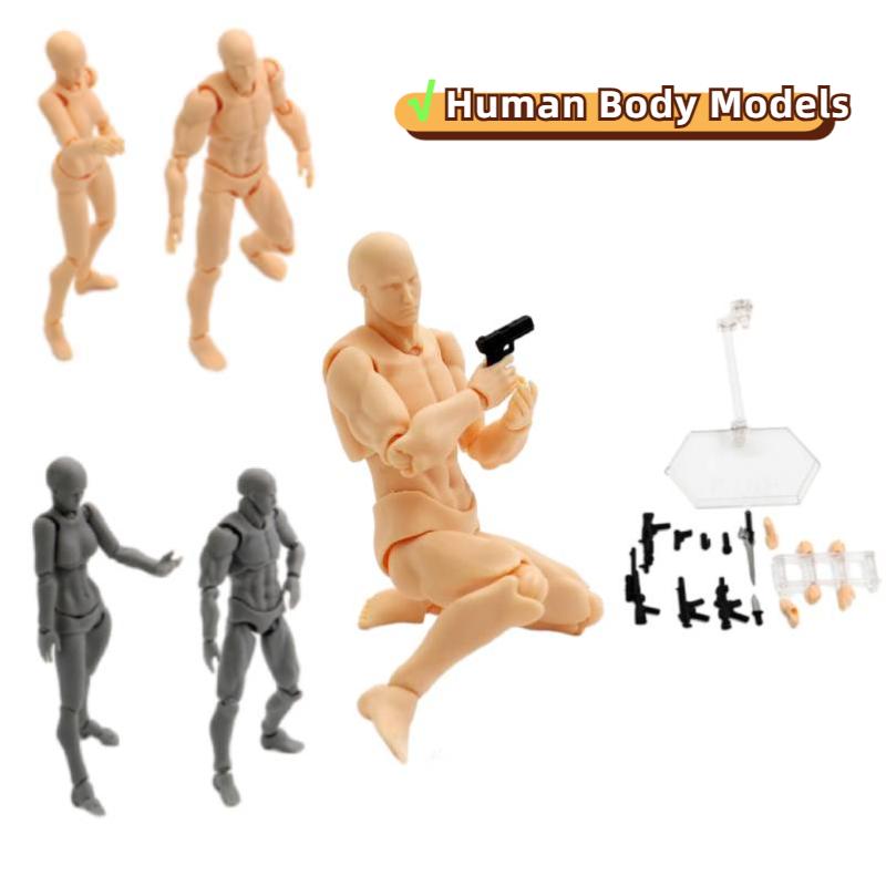 Man Luxe Shfiguarts Body Kun Chan Dx Set Drawing Figures Moveable Artists For