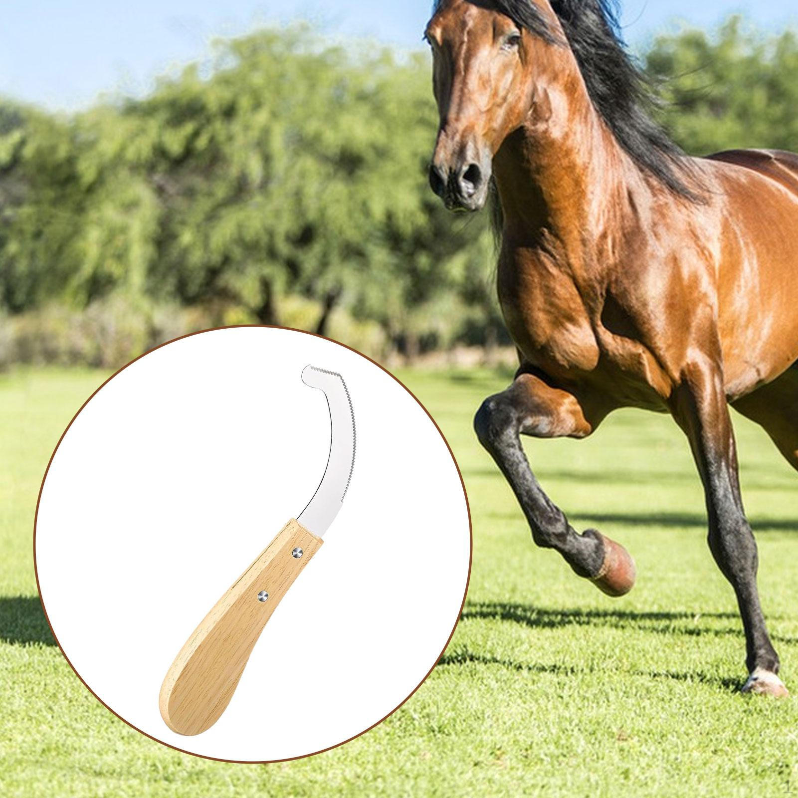 

Инструмент для яиц для лошадей Расческа Удобная рукоятка Лошадь Кузнец