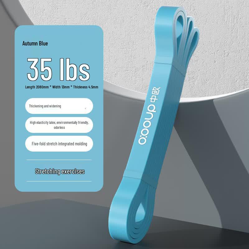 Fitness Resistance Loop Band