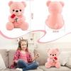 RANJIMA Teddy Bear with Rose, 35cm Pink Plush Stuffed Animal Toy Pillow Birthday Valentine's Day Gift for Girlfriend Women