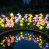 Solar Powered Daffodil Stake Lamps Waterproof Design Solar Powered Lights  Courtyard Lighting
