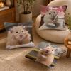 Funny Hamster Meme Cute Cushion Cover Anti-dustmite Pillowcase Invisible Zipper Silky Short Plush Sofa Cushion Cover