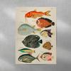 3pc Vintage Tropical Fish Canvas Wall Art Antique Nautical Illustration Printing for Eclectic Home Decor,Ideal Ocean Lover Gifts