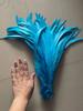 100Pcs 25-40Cm /10-16Inch Rooster Tail Feathers Bulk Natural Plumes Large Pheasant Cock Clothing Jewelry Accessories Party Decor