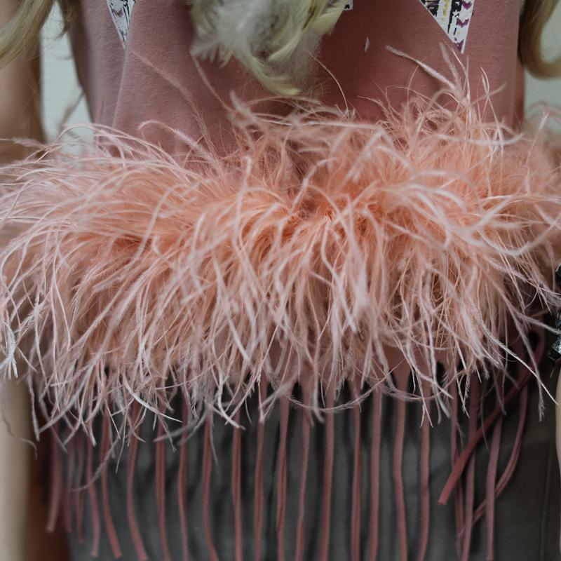Ostrich Top Single Layer, Colorful Feather Wedding Dress Stage Decoration Diy Accessories Large Feather