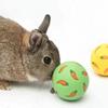 Rabbit Slow Feeder Therapy Ball: Interactive, Bite-Resistant Toy for Rabbits, Ferrets, and Kittens.