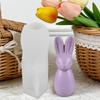 DIY Easter Silicone Mold Easter Rabbit Aromatherapy Candle Silicone Mold Easy Release Casting Mould Gypsum Pendant Mold