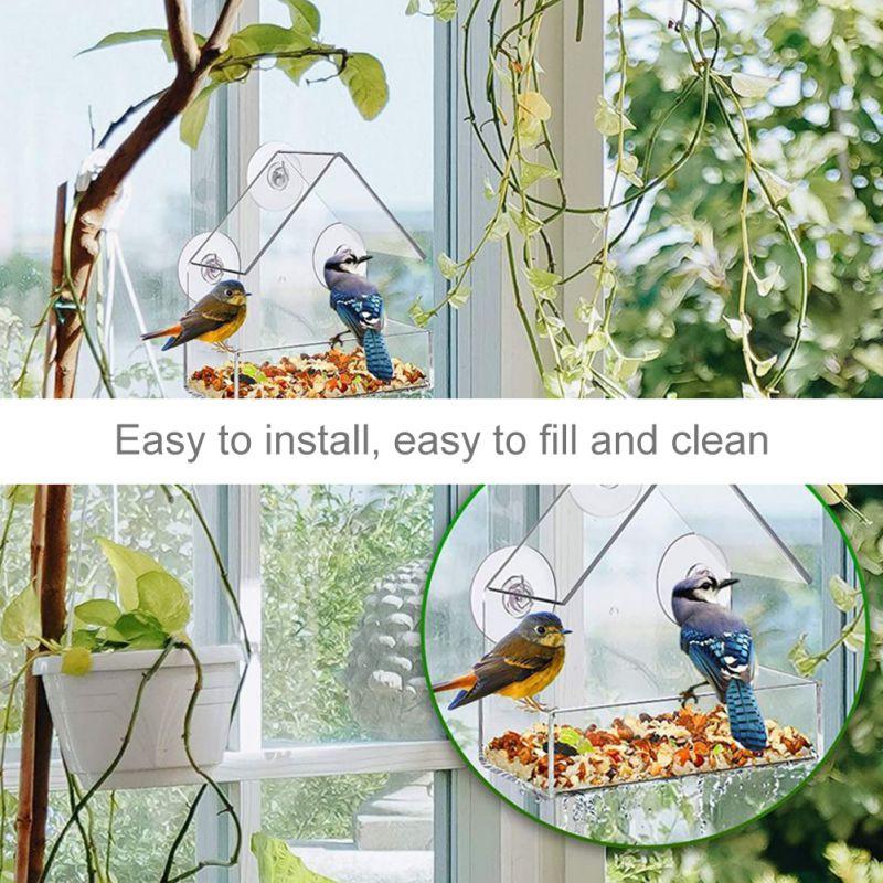 Bird Feeder Acrylic transparent Bird Food Bowl with suction cup, removable and easy to clean 6 inches x 6 inches x 2.8 inches