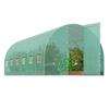 Walk-in Tunnel Greenhouse 19.36x9.68x7.4ft Galvanized Frame PE Cover Green