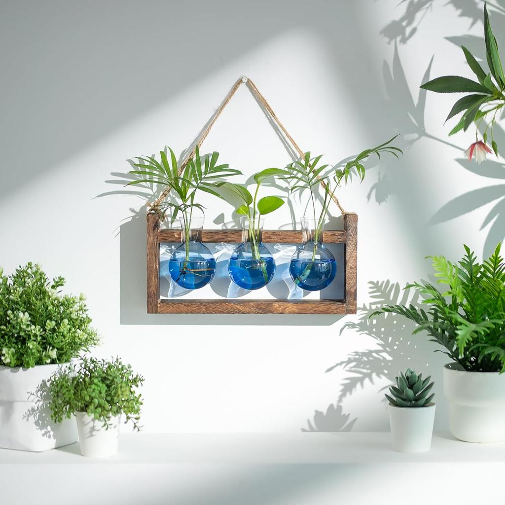 Plant Propagation Station with Wood Stand - Wall Glass Terrarium for Cuttings Air Plants Small Flower Pothos - Gift for Women Plant Lovers (Gradient