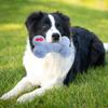 Quietschendes Haustierspielzeug, Plüsch-Hundespielzeug, bissfestes kleines Hundespielzeug mit eingebautem Sound, Kauspielzeug in Knochenform, lindert Langeweile, Haustierbegleiter
