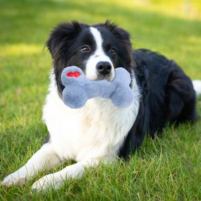 Squeaky Pet Toy Plush Dog Toys Bite-Resistant Small Dog Toy with Built-in Sound Bone Shape Chew Toy Relieve Boredom Pet Companion