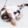 Cat Accessories With Mini Bell Cat Interactive Pet Supplies Teaser Stick Cat Rod Pet Cat Toy