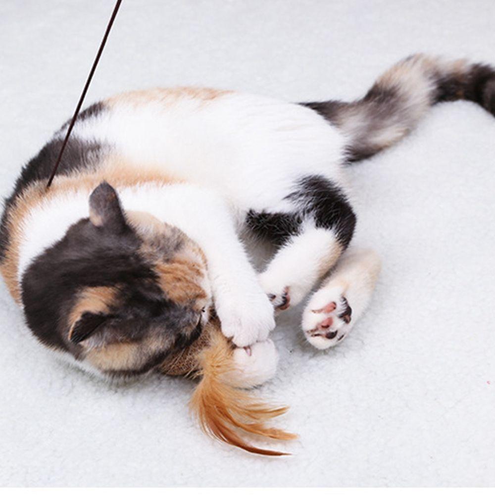 Cat Accessories With Mini Bell Cat Interactive Pet Supplies Teaser Stick Cat Rod Pet Cat Toy