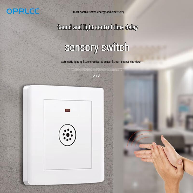 Sound and Light Sensor Delay Switch