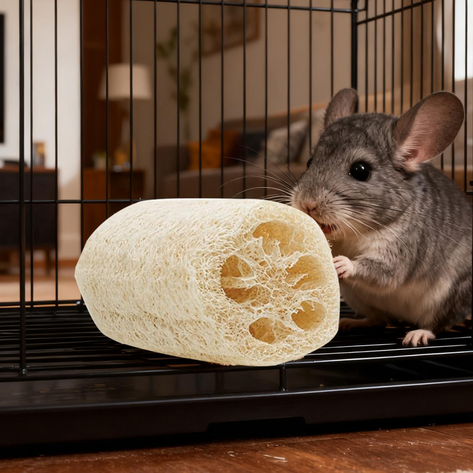

Rabbits Toys Natural Loofah Chewing Treats 4 Pieces Healthy Hamster Chews For Pet Small Animal Chinchillas Family Indoor Outdoor China Mainland