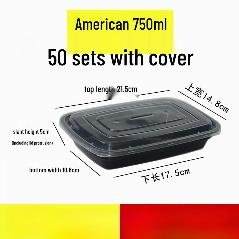 Disposable Rectangular Plastic Food Container