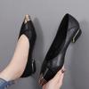 Women Cool Black Soft Leather Spring & Summer Square Heel Shoes Lady Classic Beige Comfort Office Career Pumps Ab613
