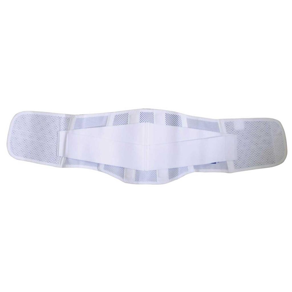 Leader Back Pain Protection Mesh Large Belt, Type,