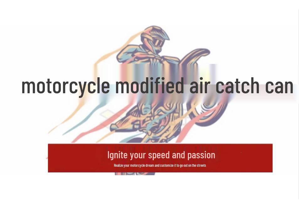 Edelstahl Front-Mittel-Auspuffrohr für Hornet CB600F (2007-2013) - Beschädigungsfreie Installation