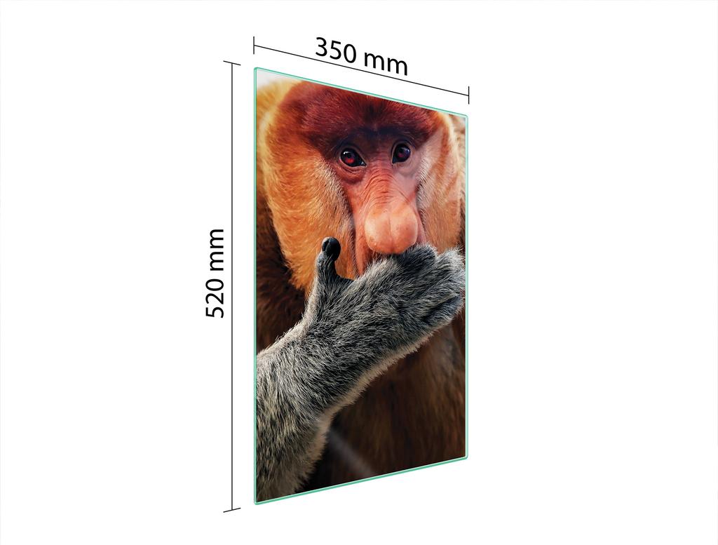 SZKLANA DESKA DO KROJENIA 35x52 NOSACZ