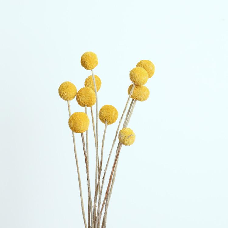 Yunnan Dried & Immortal Flowers Bouquet: Baby's Breath, Roses, Forget-Me-Nots for Home & Homestay Decor