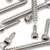 304 Stainless Steel Hex Socket Head Tapping Screw Set