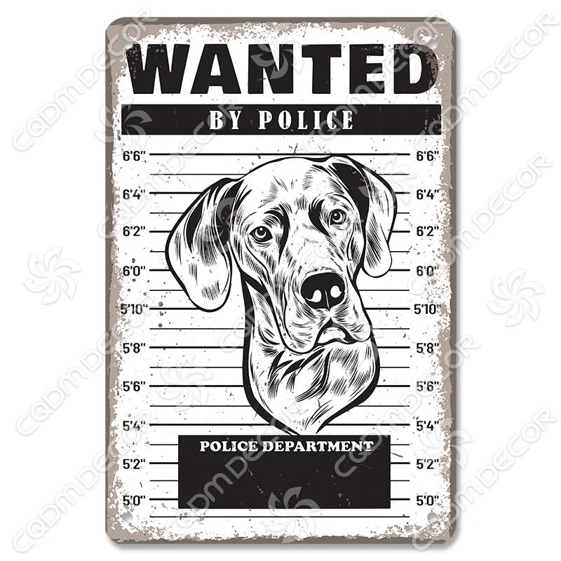 Varning för Hund Varningsskylt Plåtskylt Metallplatta Varning Fara Hundar Vintage Poster Metallplakett Trädgård Bakgård Gård Hem Väggdekor