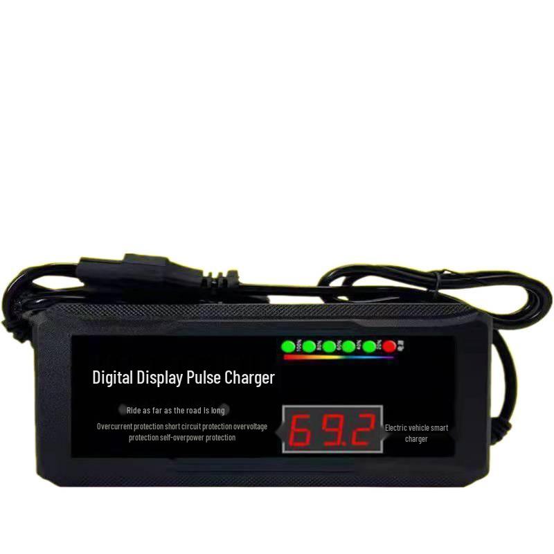 Universal 48V-72V Electric Vehicle Battery Repair & Maintenance Charger