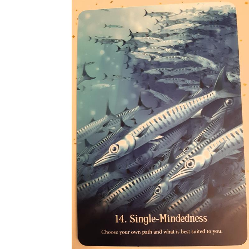 Whispers of the Ocean Oracle Cards