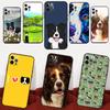 Border Collie Hund Für Samsung Galaxy A15 A35 A55 A32 A12 A22 A52 A06 A54 A34 A14 A56 A36 A26 A16 A13 A53 Hülle