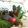 50 st Hot tecknad mini nyckelpiga mossa mikro landskap Fairy Garden Dekor prydnadsföremål DIY ornament
