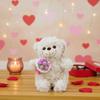Romantic Bear Wear Rose Doll Woven Valentine's Day Ornament Gifts for Kids Rose Bear Doll  Shop