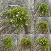 Water Simulation Grass Plant For Wedding Photography And Outdoor Decoration