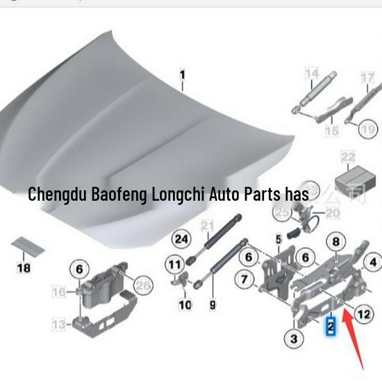 41007299925 41007299926 Hood Hinge for BMW 5 Series F18 F10