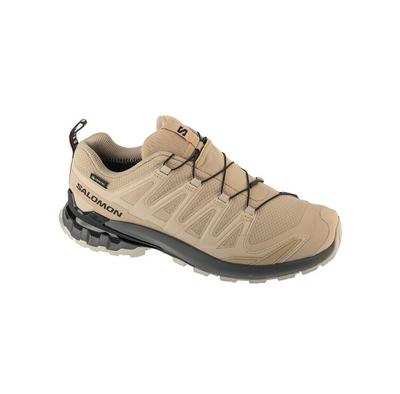 XA Pro 3D V9 GTX Trail Running Shoes