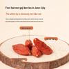 Tong Ren Tang Premium Ningxia Goji Berries