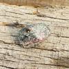 Natural Ruby Loose Gemstone 139.40 Ct Zoisite Uncut Rough From Tanzania for Gemstone Collections