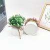 Kunststoff Veronicastrum Caulopterum Blumentopf mit Seil Schmetterlingsbindung für Heimdekoration und Gartendekoration