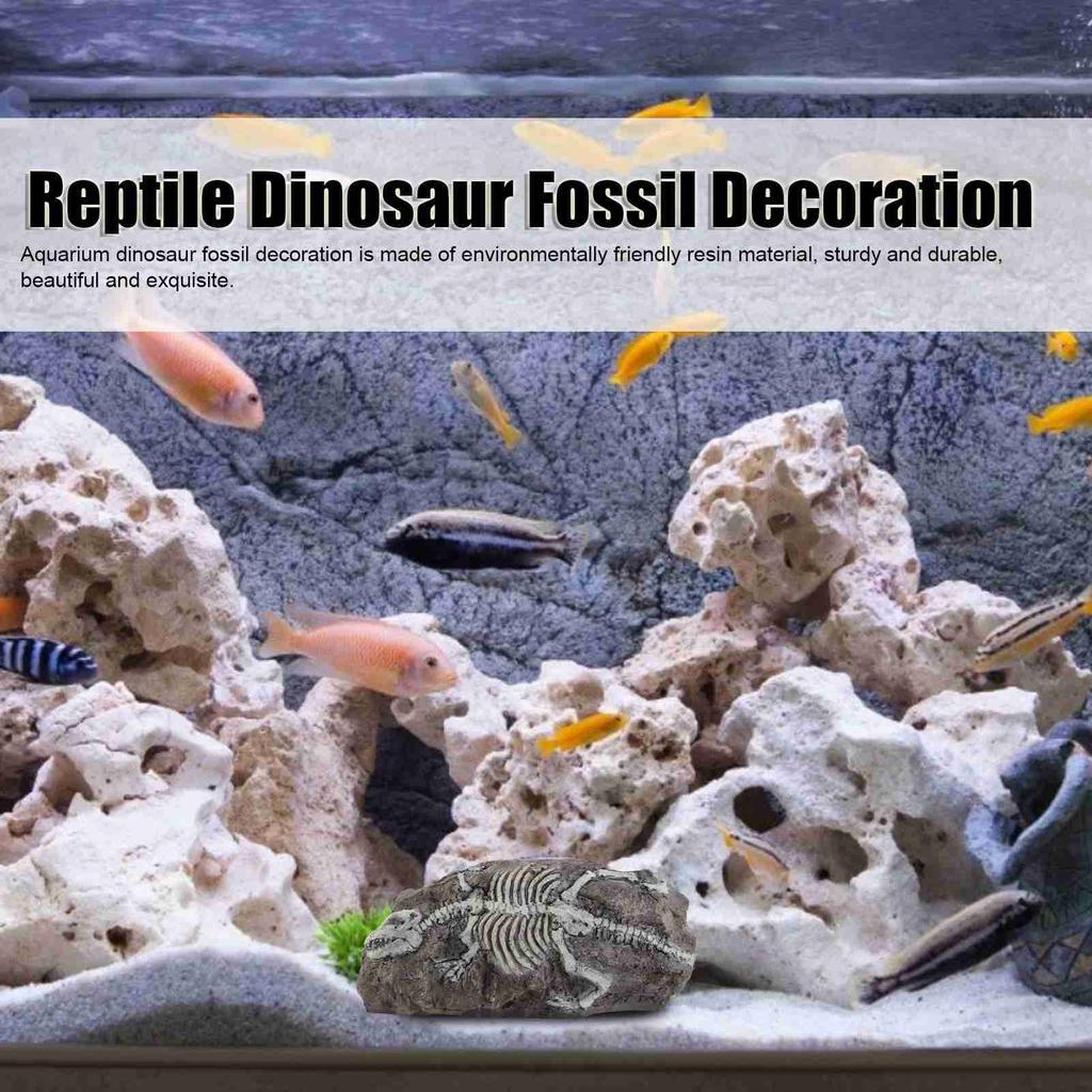 Aquarium Dinosaur Reliquiae Decoration Reptile Resin Dinosaur Reliquiae Rock   for Fish   Aquarium