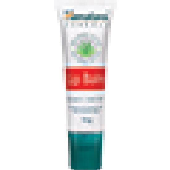 Himalaya Strawberry Gloss Lip Balm 10g