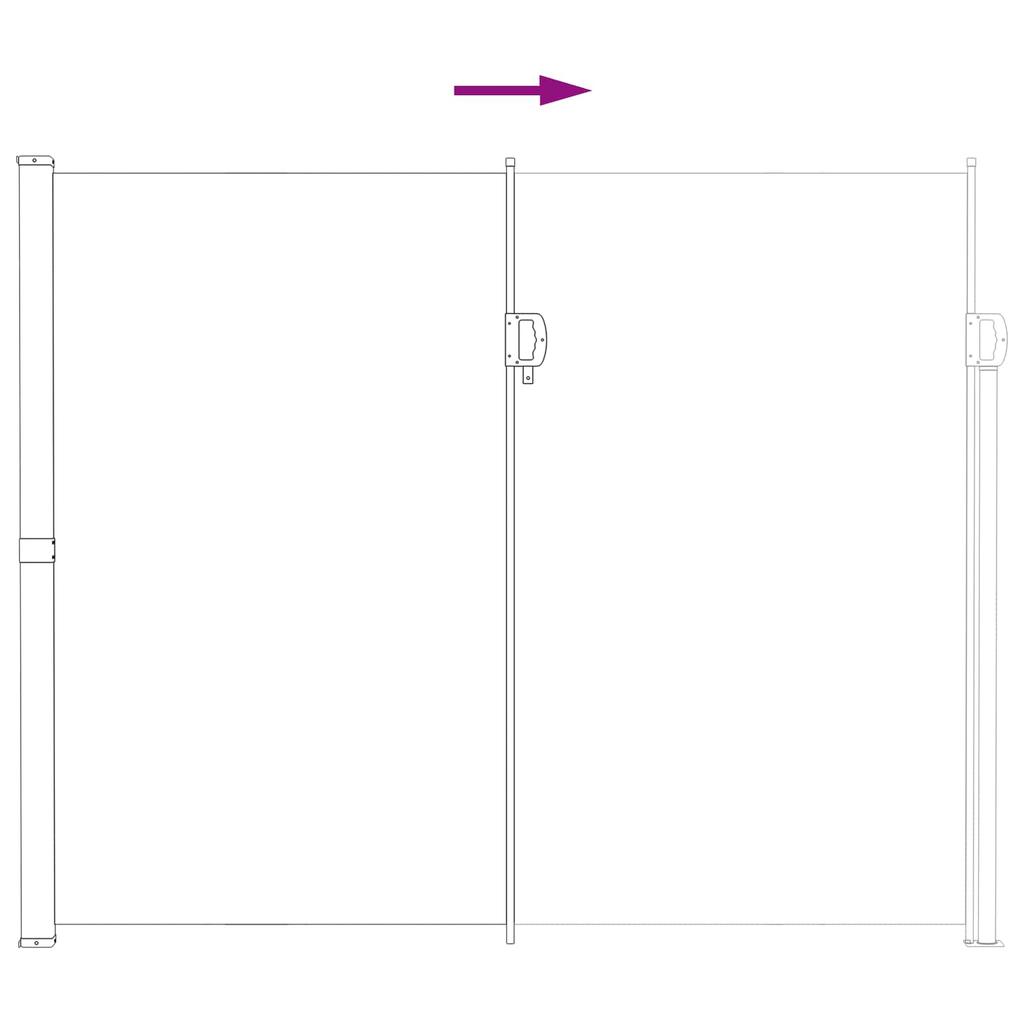 Retractable Side Awning Gray 300 x 200 cm Polyester